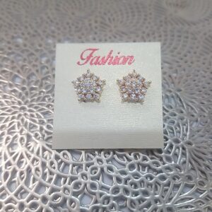 Elegant Stone Studs